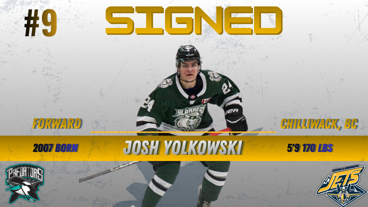 Jets bring in hometown product Yolkowski